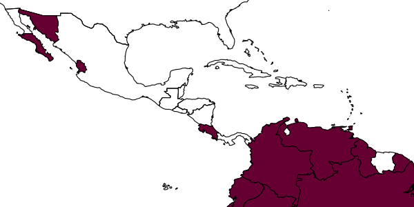 map of Aenasius vexans     Kerrich, 1967